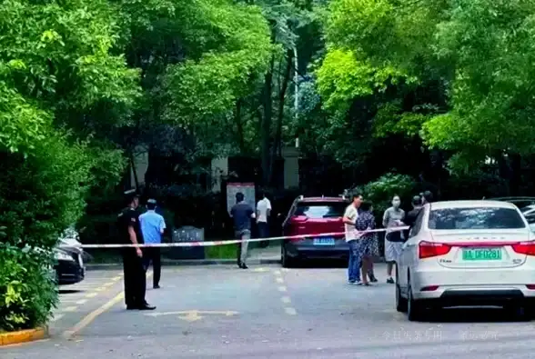 焦点 花刺代理自动更新机制 深度解析指南—源码维护核心要点【网络开发】