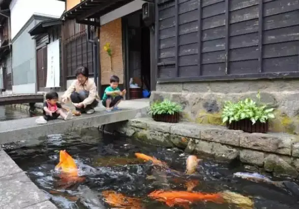 攻略教程🎮热门手游 富贵游戏和平精英顶级玩法技巧全揭秘