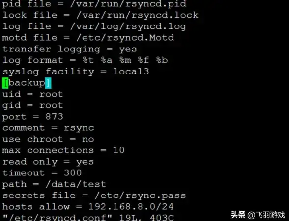 多媒体先锋｜界面革新来袭！CKplayer操作体验焕新升级】布局优化全解析
