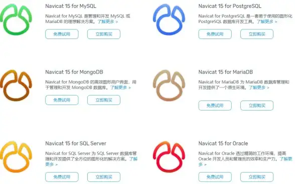 数据库管理 数据可视化 Navicat使用指南
