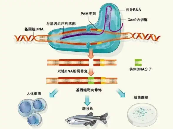 数据完整性 存储安全 读取错误率，读取错误率：聚焦数据准确性与存储健康