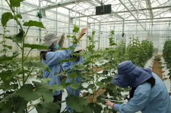 服务器优势,成都机房-四川成都爱豆互联：电信联通移动服务器优势解析
