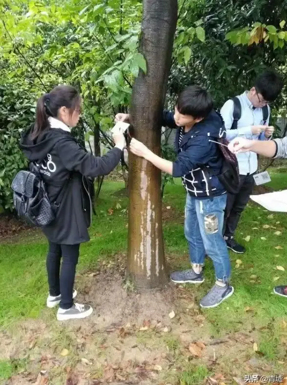 云主机,服务器迁移-香港云主机永利云服务器迁移指南