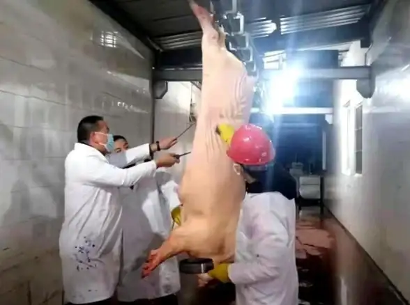 香港服务器,网络覆盖-NTT网络覆盖的香港服务器特点