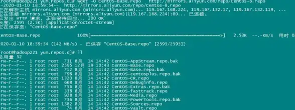 《全网公敌2 新世界》莉丝详细情报全揭秘