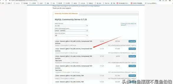 ⚡高效实践—Delphi源码优化核心指南┃编程提升技巧全解密