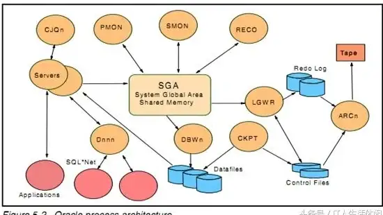 数据库管理 数据架构 全面解析Oracle数据库的结构与核心特点，oracle 数据库 结构