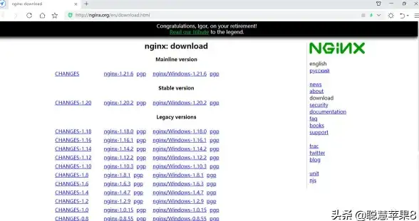 wget工具 下载管理器 linux安装wget详细教程及操作步骤