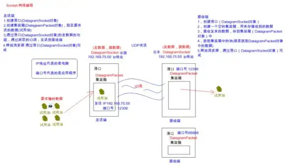 数据通信|高效连接 数据库套接字：数据交互的核心枢纽