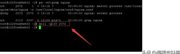 Linux 密码管理全攻略：普通用户与root用户密码修改方法详解