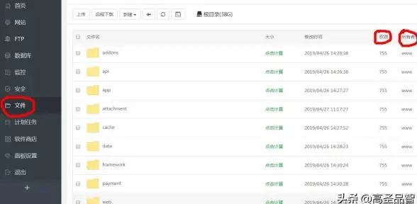 揭秘 重磅分享 托卡电脑召唤实用指南】免费VPS全流程解析｜科技快讯