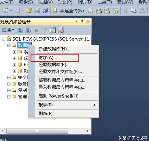 数据库管理🔑如何快速打开mdf文件，小鱼手把手教学指南