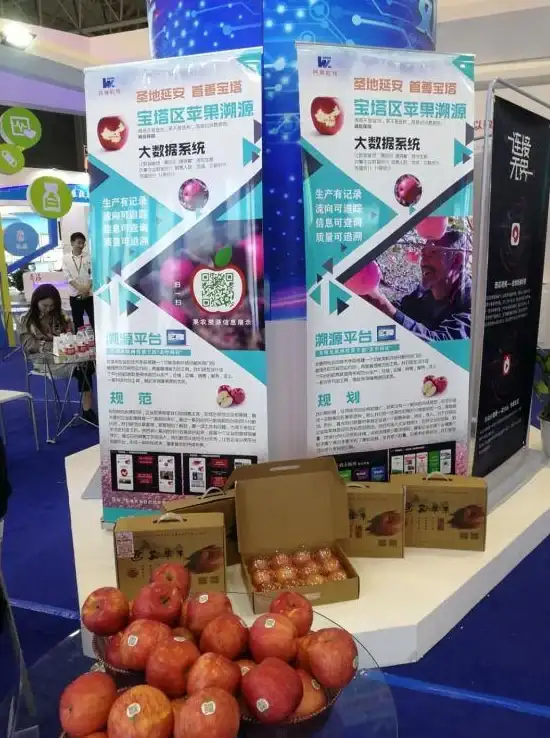 重磅干货丨高效配置宝塔面板满足net4.0需求—运维升级必看秘籍！