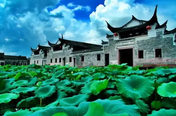 探索热潮●心动攻略●必收藏丨快速解锁心动小镇家园地块全流程指南！