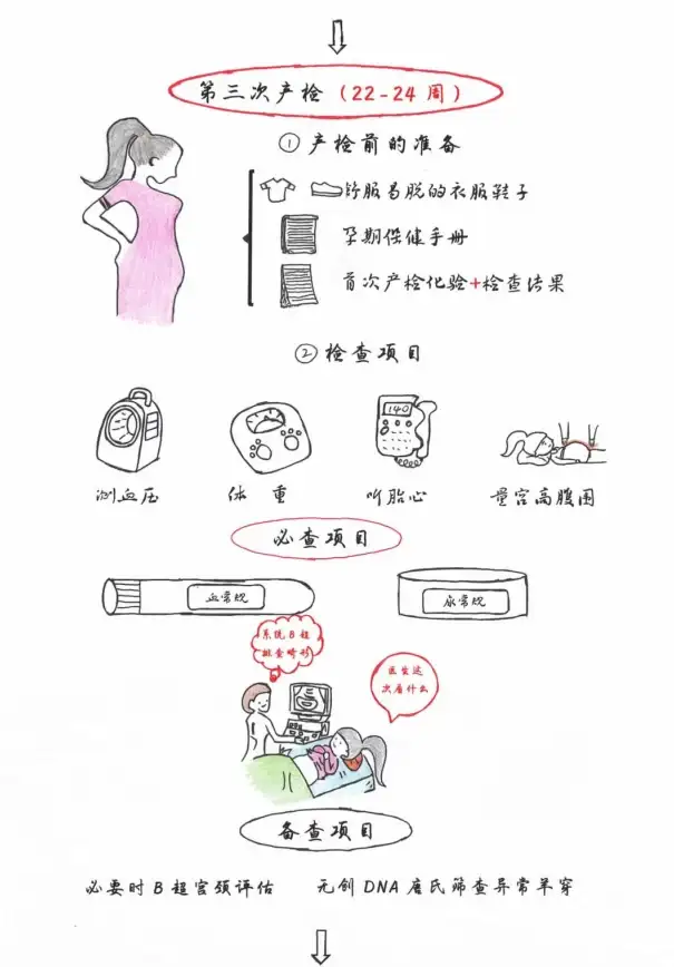 女儿村攻略🌀梦幻西游手游实用技能全面加点详解