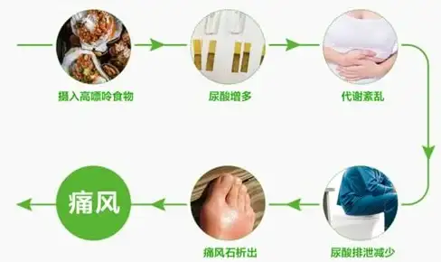 游戏攻略🔥DNF海鲜套强势对比，套装性能全面解析
