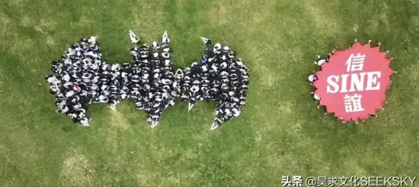 决胜巅峰游戏玩法详解及下载指南