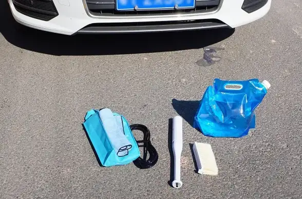 攻略🔥怪物猎人水袋任务全解析，实用技巧详尽指导