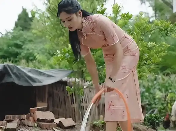 无线网络 小鱼教您排查有限访问权限的原因与解决方法