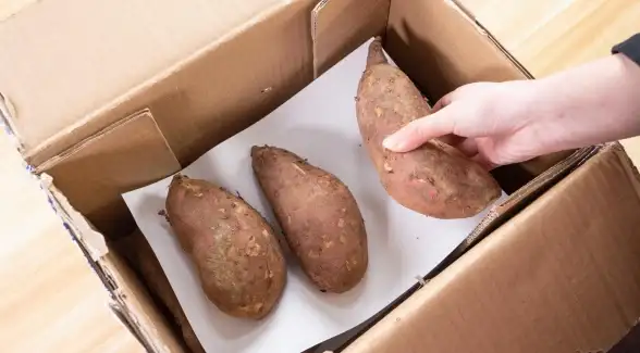 速度激增秘籍｜土豆服务器变慢应急优化方案｜技术实用指南【性能优化】