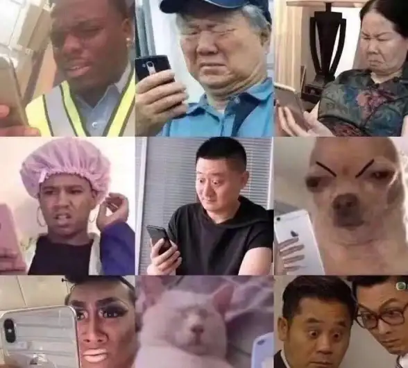 热点｜美服代理破局高峰流量 流量保障宝典】快速上手最新IDC行业应对术