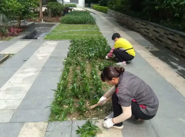 清洁秘籍 物品兑换 步骤详解 无限暖暖》超全清洁攻略大揭秘！