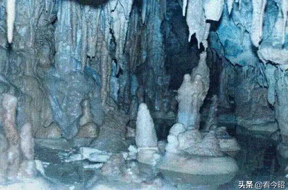 ✦稀有掉落✦必看攻略✦地点大全 魔兽世界》蝙蝠需求任务稀有物品快速获取秘籍！