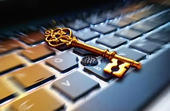 OA办公 泛微OA系统核心知识与高效实用技巧深度解析
