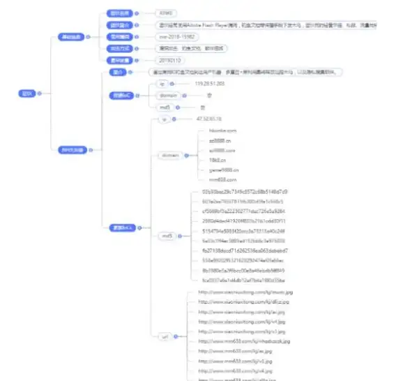 网络风险 揭秘黑产手法｜企业防护指南：最新钓鱼站源码曝光，科学应对网络安全威胁