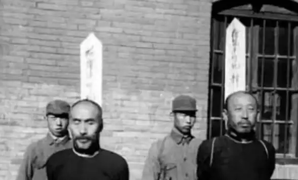 农业干货◆资源宝典◆自给自足 我独自生活》种地采集与利用全指南！