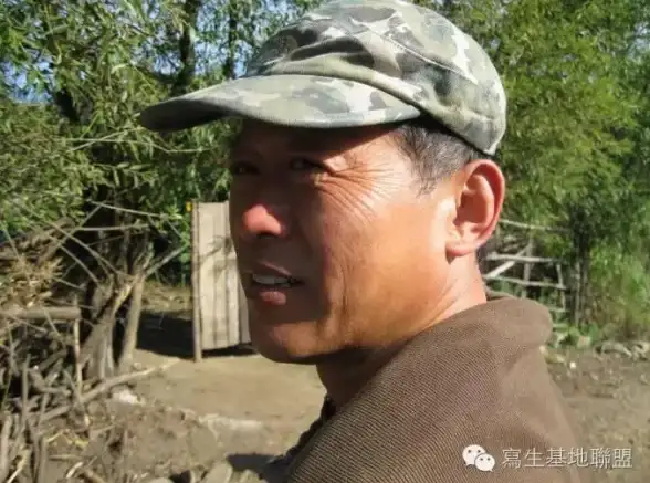 视角 写作指南 预备党员政治面貌自述爆款规范拆解 教育领域 