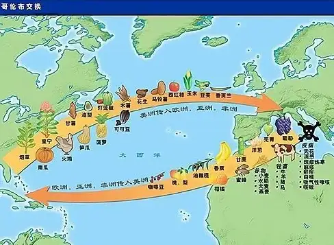枪战攻略 高效投掷 阿兹特克地图实战技巧，轻松掌控战场节奏！