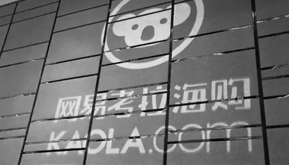 信息安全🔒网易邮箱：高效邮件登录平台助力数据保护