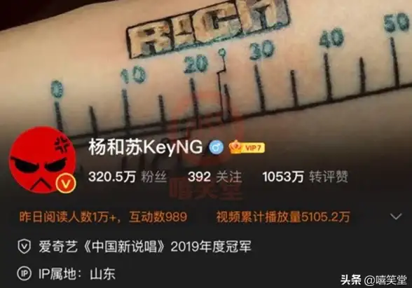 实用方法速查｜高效掌控苹果CMS，轻松清理无效MP4视频！视频站管理技巧
