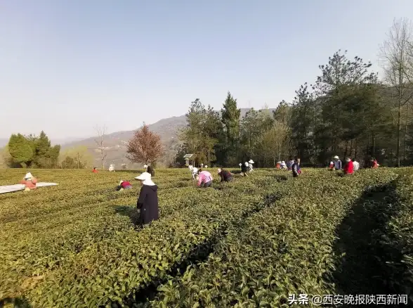 跨平台符号输入技巧｜揭密Web开发必备技能｜HTML输入法全指南】
