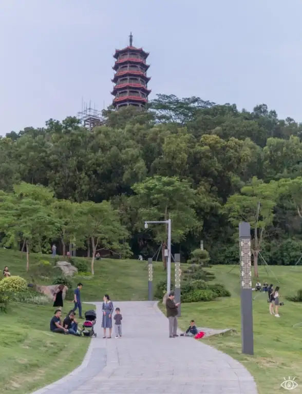 高防服务器,网站加速-选择八骏云美国站群服务器理由全解析