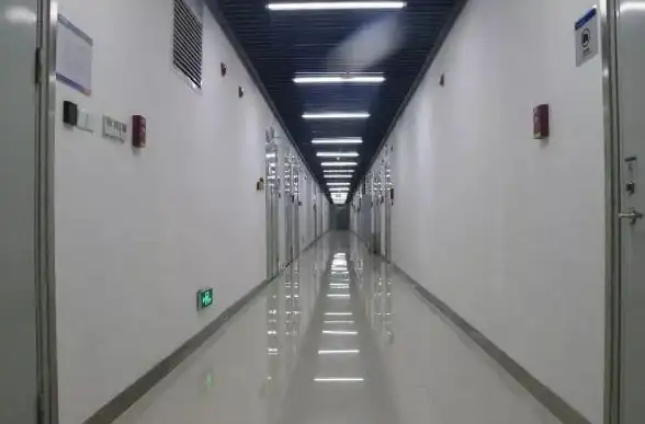 美国服务器,多线接入-适合外贸网站的美国服务器多线接入