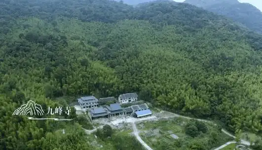 游戏攻略🔥dnf金秋称号选哪个最划算，实用解析分享