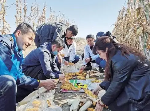 实用技巧｜一文看懂国外免费空间真相！优缺点全解析｜网站托管精选