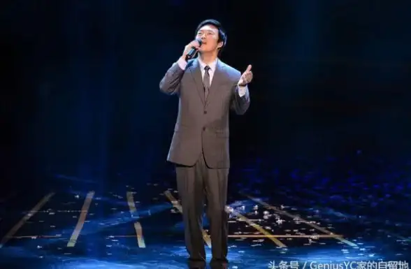 网络质量,新加坡机房-纵横数据在新加坡机房网络质量测试