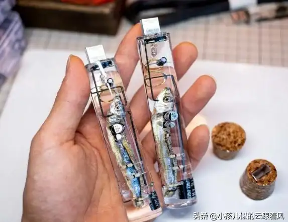 数据恢复🔧小鱼支招：SD卡受损的实用修复技巧