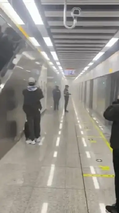 生存攻略🔥逃生技巧🔥伤害评测 地铁逃生不同武器伤害全面对比分析