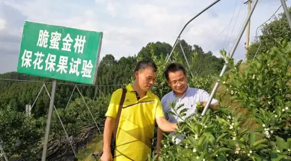 解读｜HTTPS建站对百度收录影响深度揭秘⏩站长必读技巧【云计算精选】