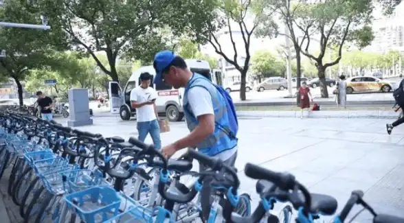 多站点部署亮点盘点｜服务器运维干货集锦—多站点管理技巧与安全要点全掌握