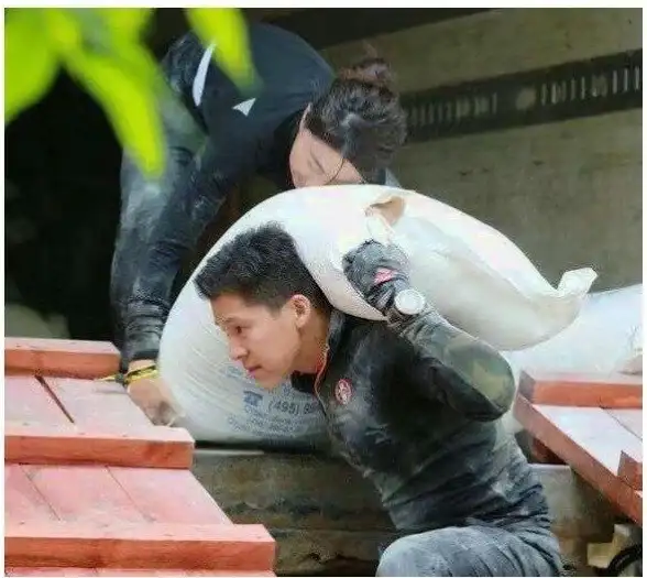 《我独自生活》中提升脑力的实用技巧揭秘