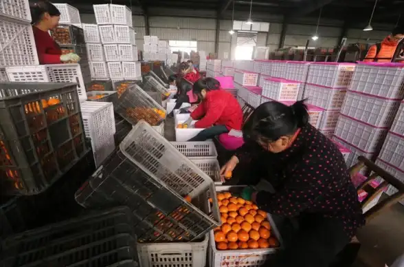 电商情报 百度口碑数据收录必备预处理技巧！独家整理】实用方法全解析