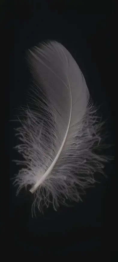壁纸美学✨风格切换：手机版壁纸美学，轻松实现多样时尚风格自由转换