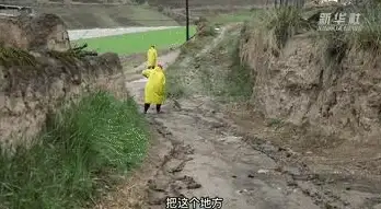 服务器租用,业务扩展-纵横数据深圳机房，电信服务器如何助力业务拓展