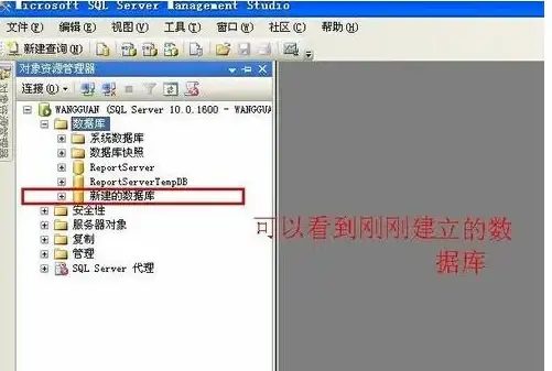 游戏攻略🔥dnf》大飞空时代宠物技能全面解析与实用指南