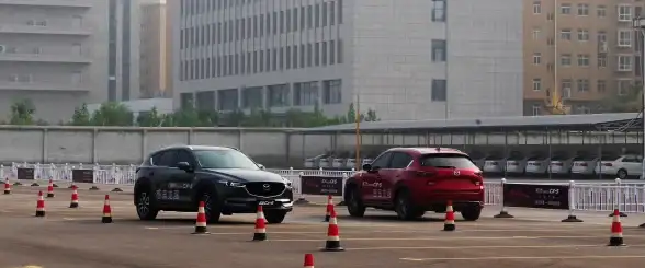攻略🔥全面解析🔥必备资源 冒险小分队光影争锋免费材料汇总